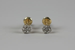 DR1297 - 10K Yellow Gold - Chocolate Diamond - Diamond Earrings